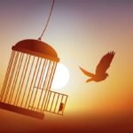 Cage of Life
