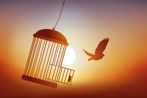 Cage of Life
