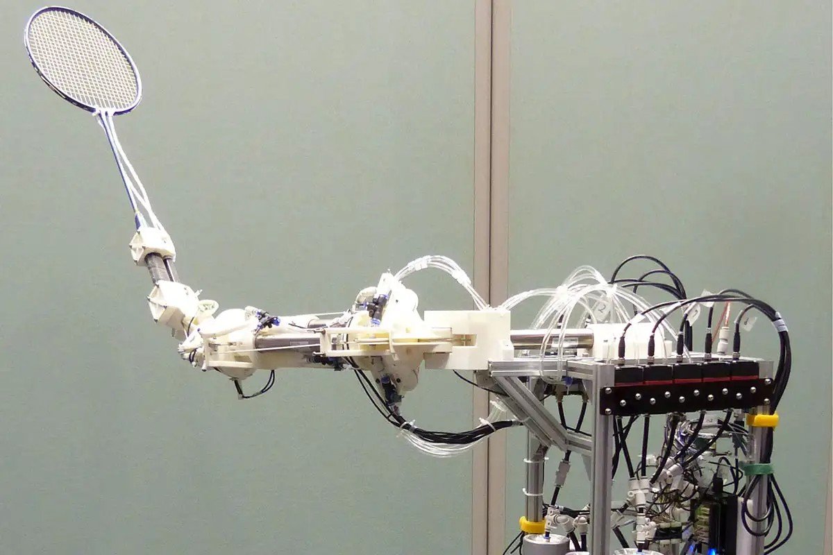 How Does Technology Contribute to Badminton